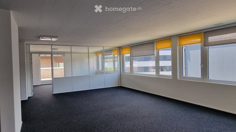 Empty room with grey carpet, white walls, large windows with blinds, and glass partitions.