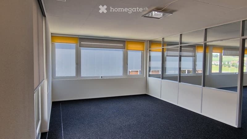 Empty room with grey carpet, white walls, large windows with blinds, and a glass partition wall.