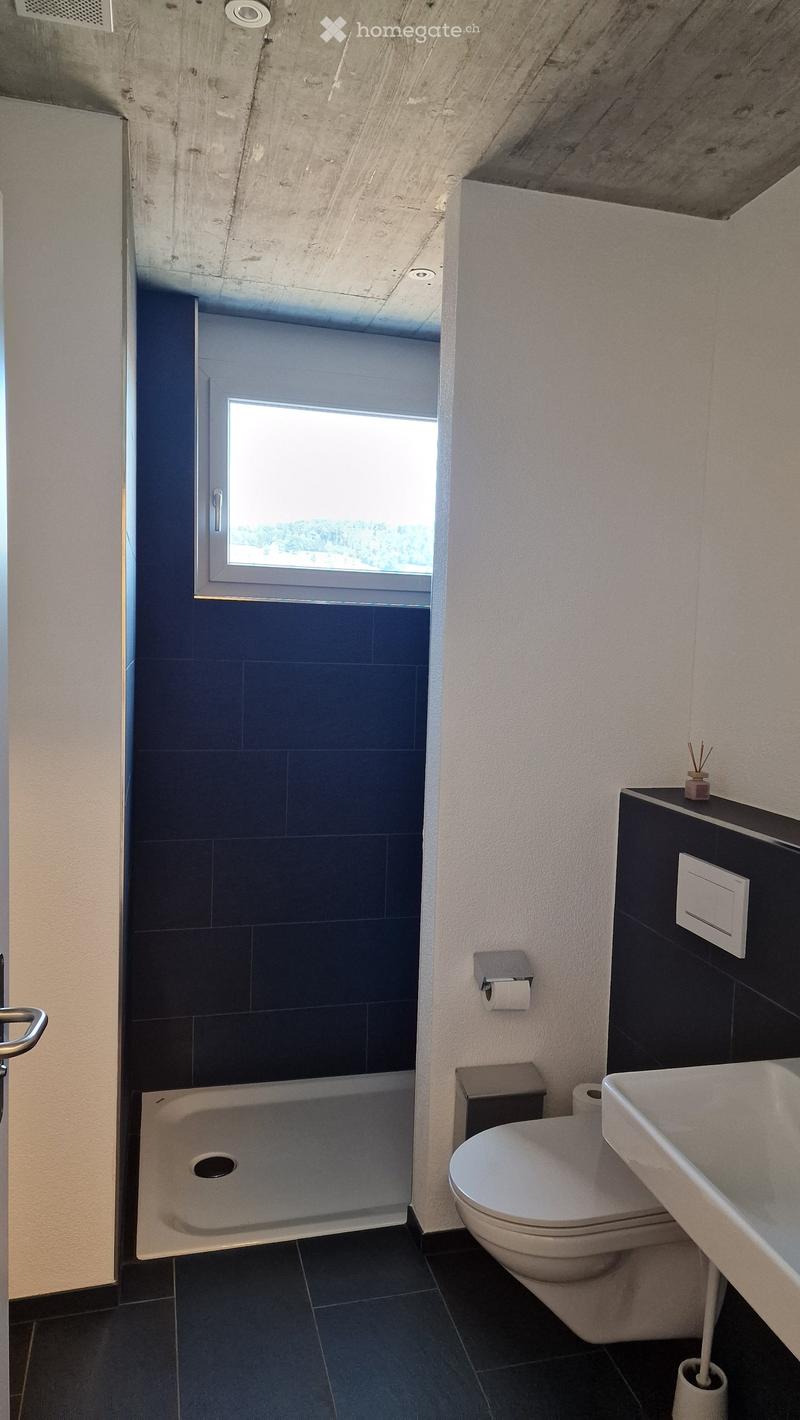 Modern bathroom with dark tiles, white fixtures, and a window providing natural light.