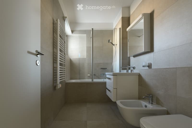modern bathroom with shower, bathtub, mirror, sink, toilet, and radiator