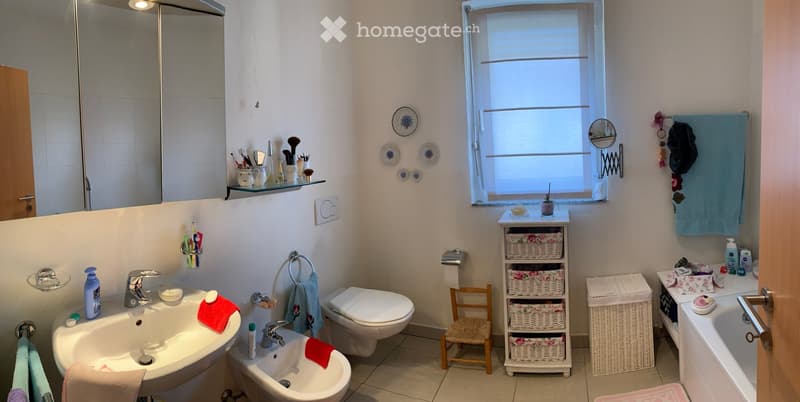 The bathroom has white tiles, a sink, bidet, toilet, mirror, and a window. There is a small table with a potted plant on it.