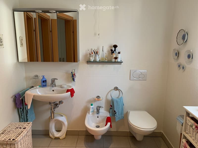 Bathroom with sink, bidet, toilet, mirror, hanging shelves, decorative plates, and storage basket