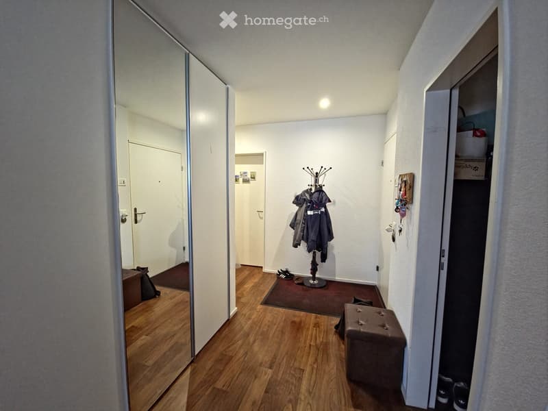 empty room, wooden floor, clothes rack, coat hanging, shoes, mirror, storage boxes