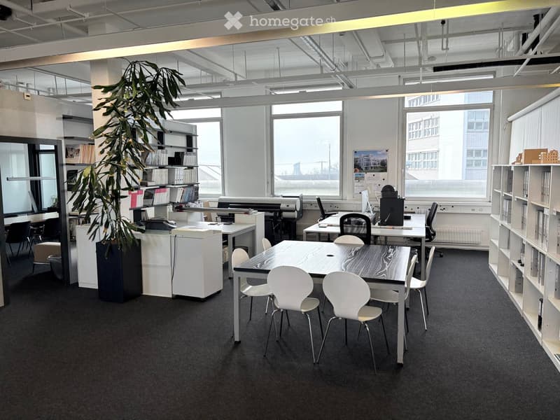 spacious office with several desks, chairs, and shelves, a large potted plant, and large windows with a view
