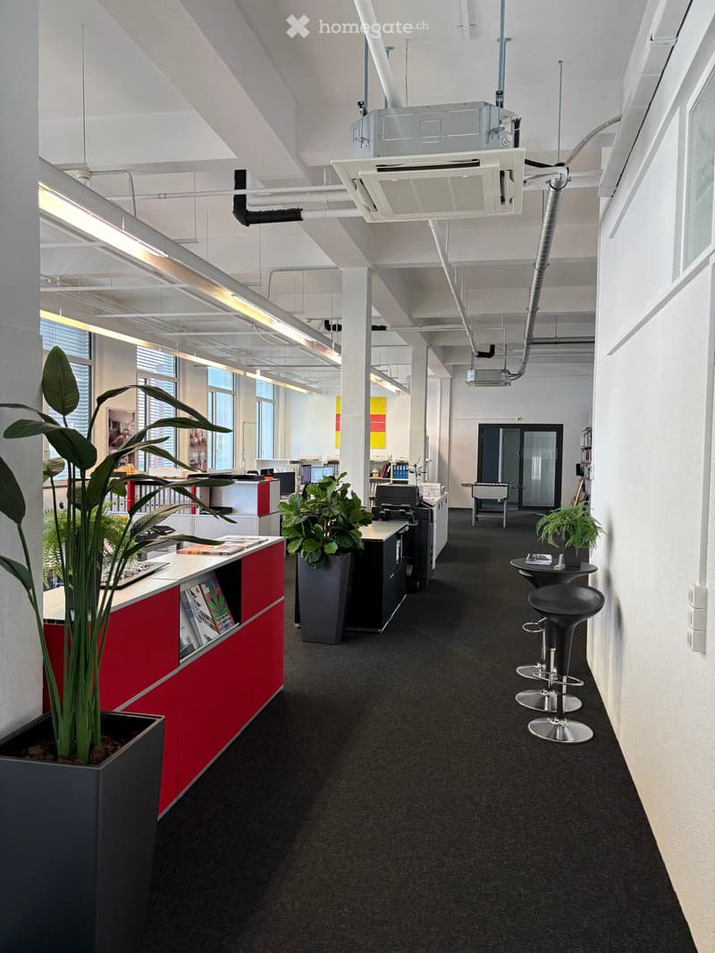 open plan office, high ceilings, white walls, black carpet, red cabinets, large potted plants, black stools, fluorescent lighting