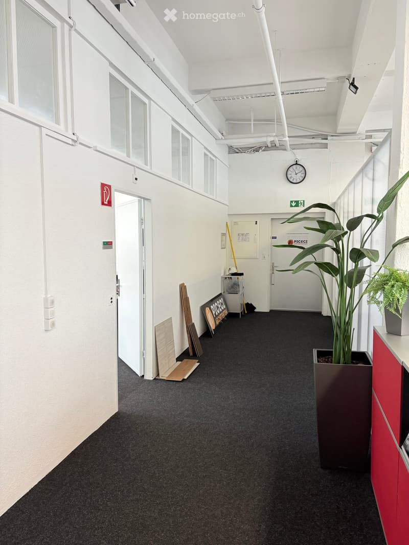 white walls, black carpet, white ceiling, open door, plant, storage box, trash can, fire extinguisher sign, clock, windows, signage