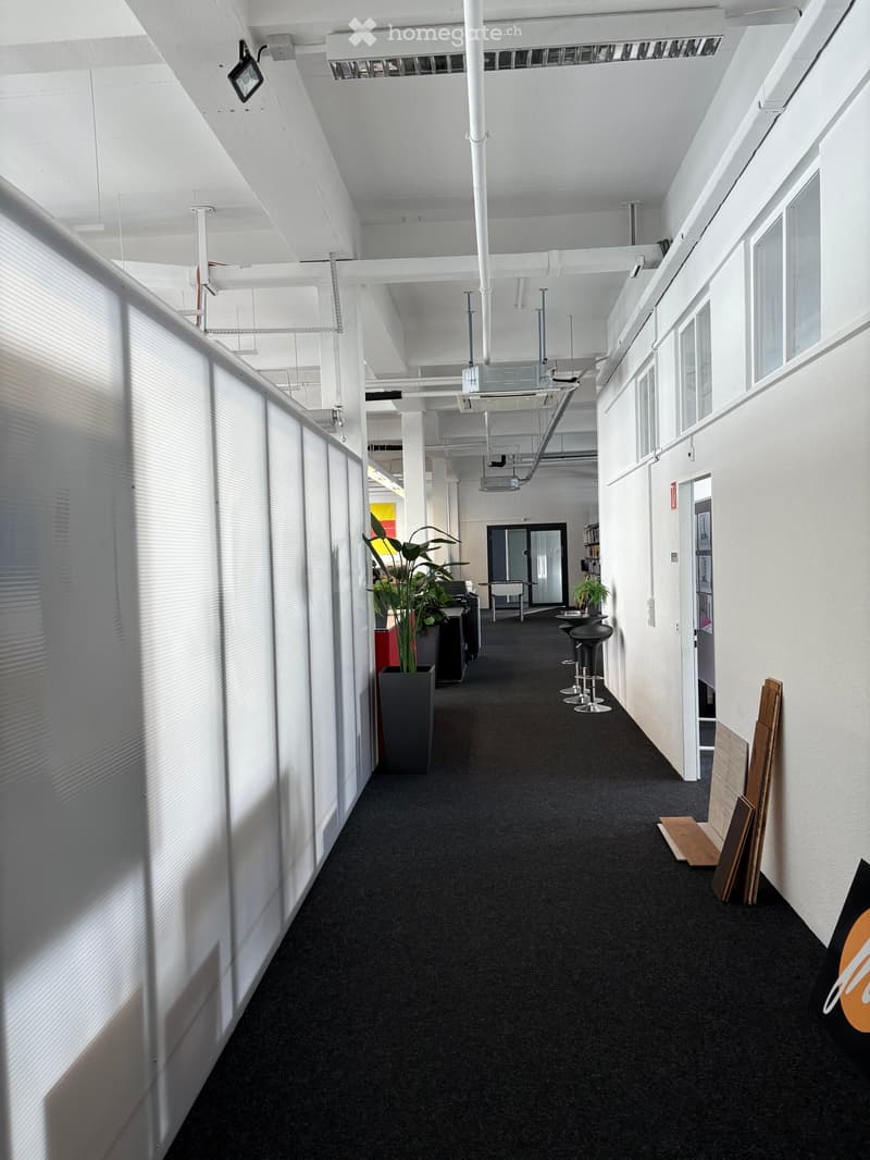 Long corridor, dark carpet, white dividers, black stools, shelves, plants