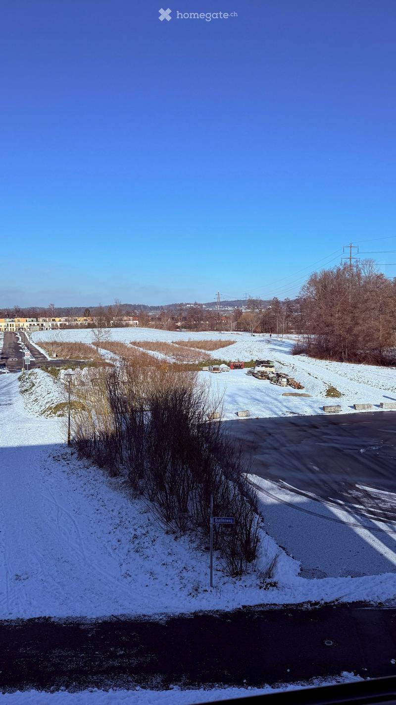 Snow-covered field, visible road, snow-covered trees, distant buildings, clear blue sky