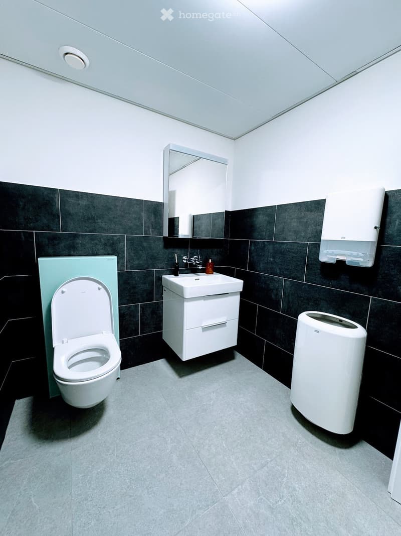 Bathroom: white toilet, black tiles, white vanity, silver sink, white ceiling