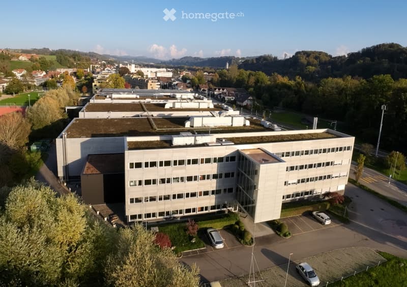 large office building, white walls, multiple windows, car parking area in front