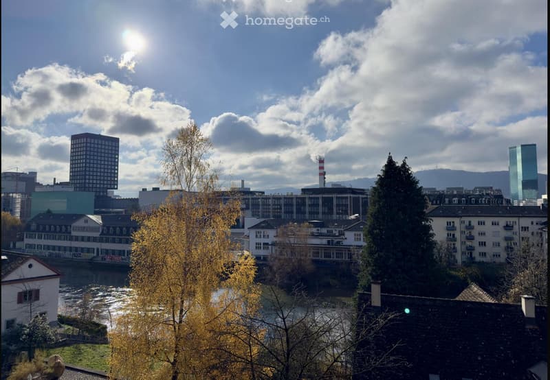 229m² Bürofläche in Zürich-Wipkingen (6)
