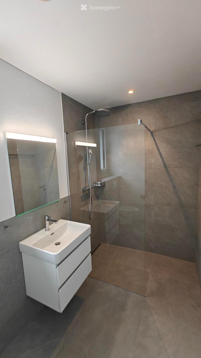 Modern bathroom with a white sink, built-in storage, a large mirror with built-in lighting, and a glass-enclosed shower area with a rainfall showerhead.
