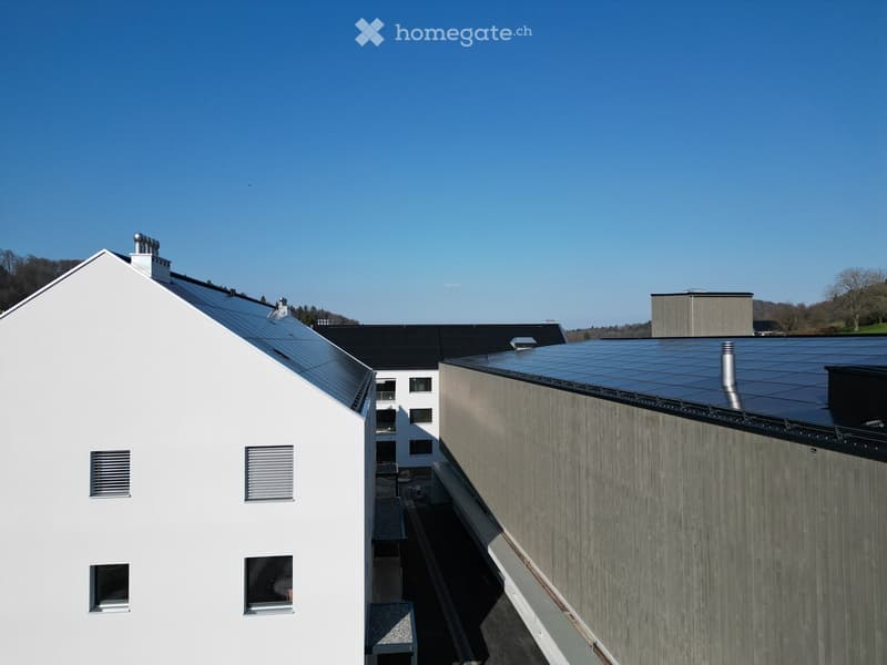 White house with solar panels on the roof, gray building with solar panels on the roof, clear blue sky, trees in the distance