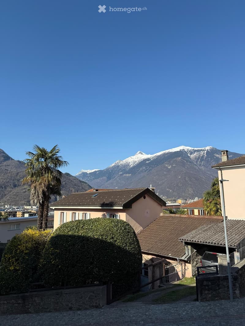 A brown house with a tiled roof, overlooking a street with green bushes, a tall palm tree, a street lamp, and a snowy mountain range.