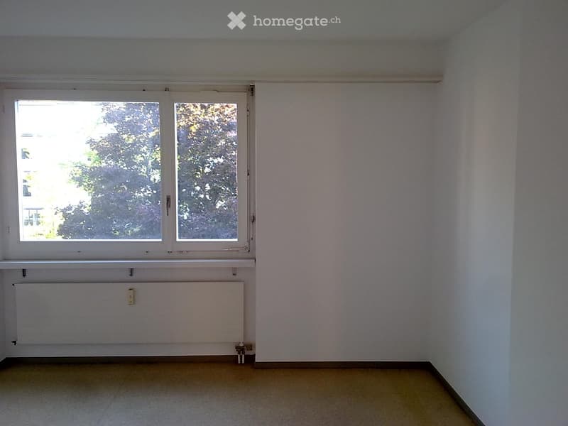 The room is empty with white walls and a window with a view of the trees outside. The floor is covered with carpet and there is a white radiator against the wall.