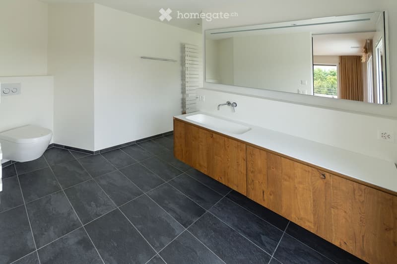 modern bathroom with white walls, black tiles, wooden cabinet, white sink, mirror, toilet