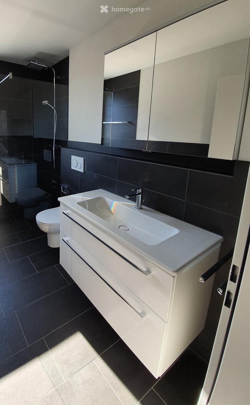 modern bathroom with white vanity, white sink, silver faucet, black tiles, glass shower, toilet, power outlet, mirror