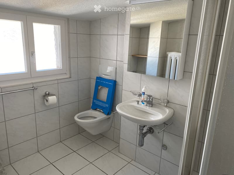 tiled walls and floor, mirror, sink, toilet, toilet paper holder, shower