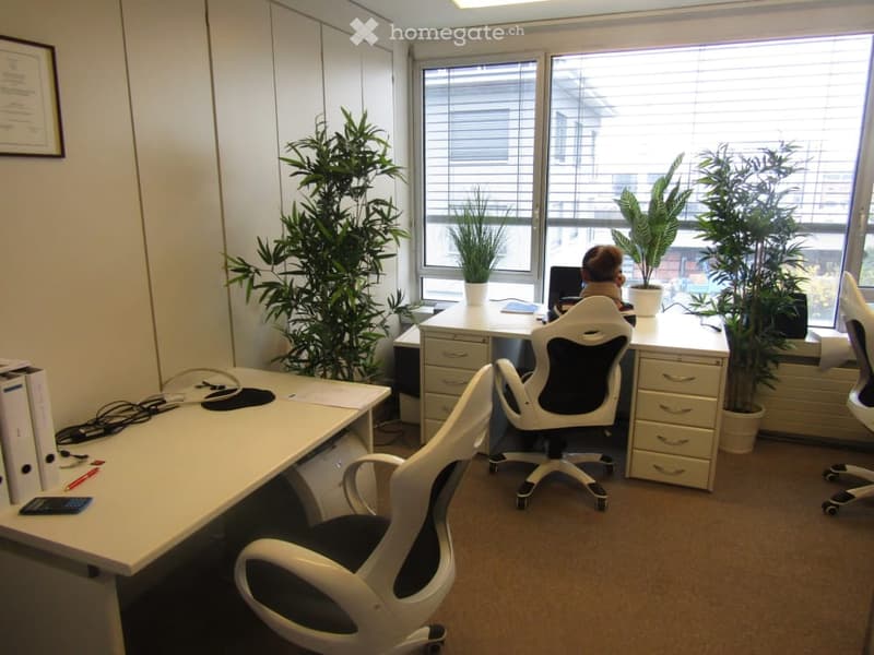 open floor plan, white desks, 4 office chairs, large windows, office plants
