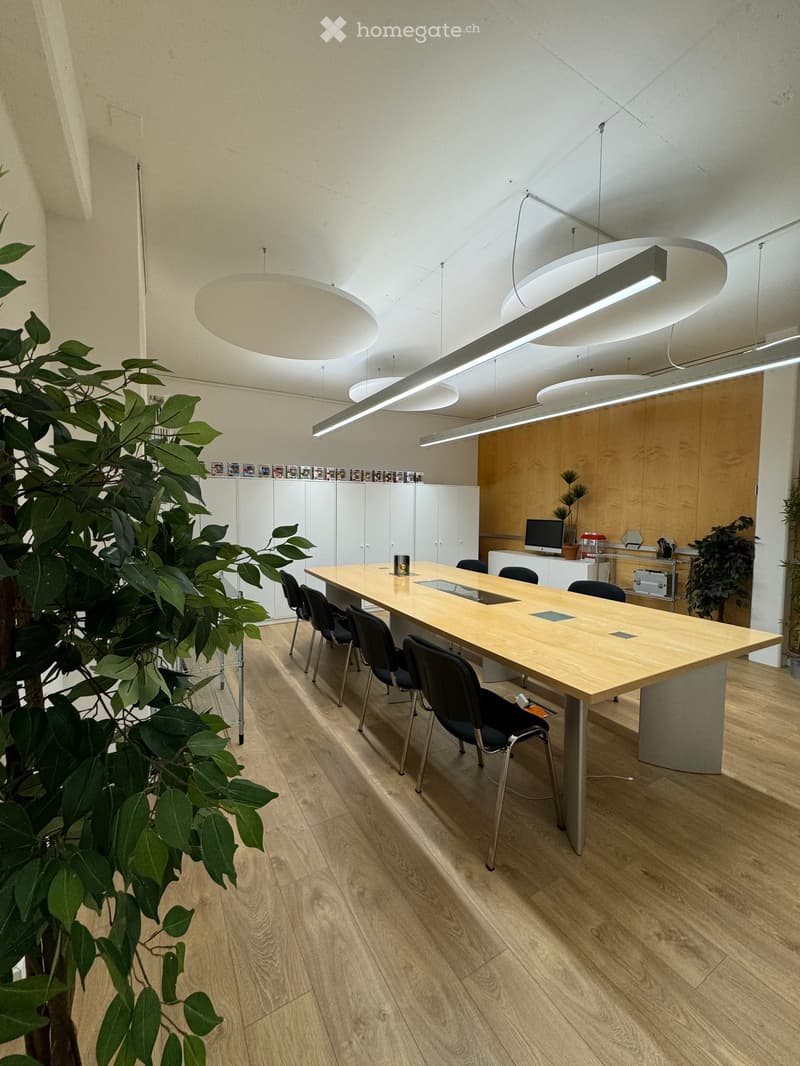 modern office room with wooden desk and chairs, suspended ceiling lights, wooden floor, two plants on side, white cabinets, wooden wall with monitor and plant