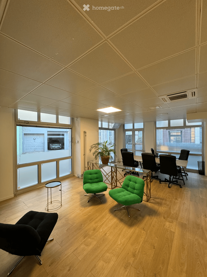 modern office room, wooden floor, large windows, green chairs, table, meeting table, black chairs, potted plant