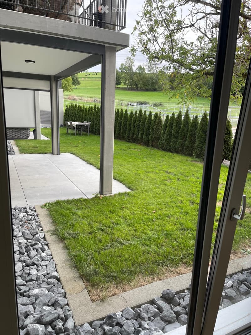Modern outdoor space with a well-maintained lawn, concrete pathways, and a small seating area with a table and chairs. The area is bordered by a row of neatly trimmed coniferous trees and a stone border along the pathway.