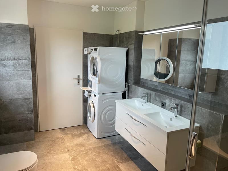 Modern bathroom with a double sink, built-in cabinets, a large mirror, a washing machine, and a toilet.