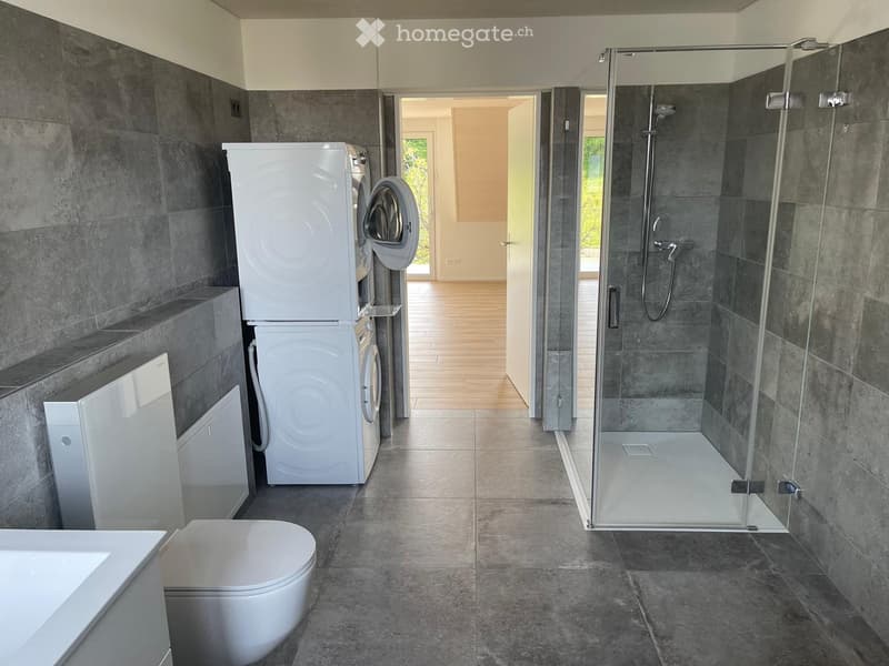 Bathroom. Modern bathroom with grey tiled walls and floor, featuring a toilet, washing machine, and a glass-enclosed shower area.