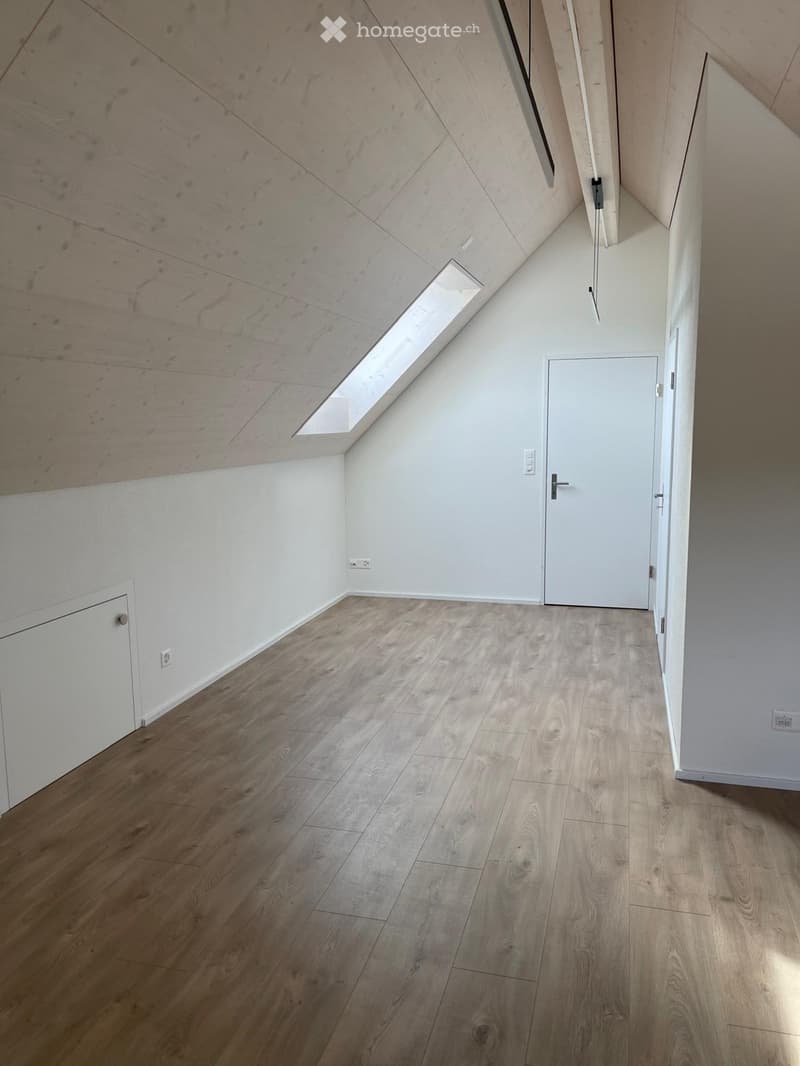 Unfurnished Room. Empty attic space with wooden flooring, white walls, and a skylight window providing natural light. Features a white door and built-in storage cabinet.