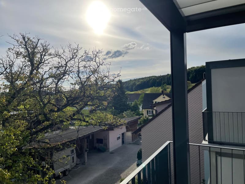 Balcony / Terrace. Balcony view overlooking a residential area with houses, trees, and a driveway.