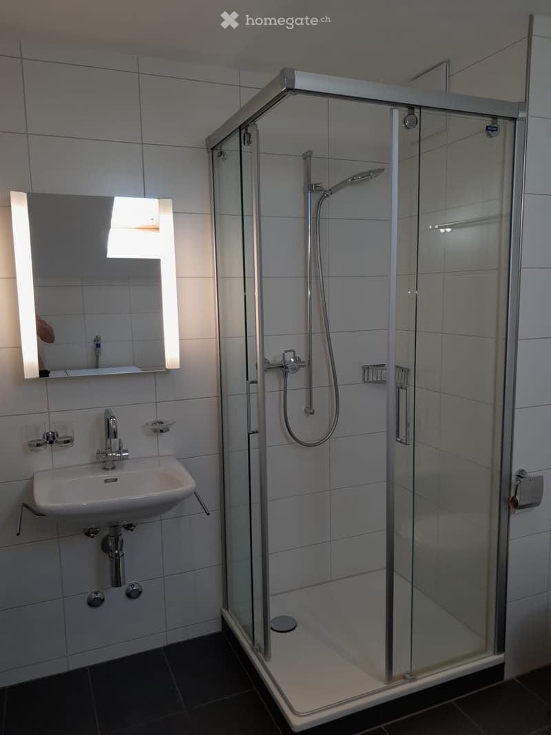 modern shower, sink, mirror, toilet paper holder, chrome fixtures