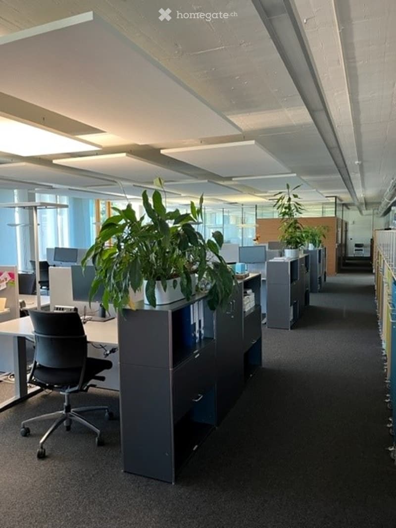{"type": "Office layout","description": "modern office layout with desks, chairs, cubicles, and plants","visible_features": [],"localized_descriptions":    {    "EN": "modern office layout with desks, chairs, cubicles, and plants",    "DE": "moderne