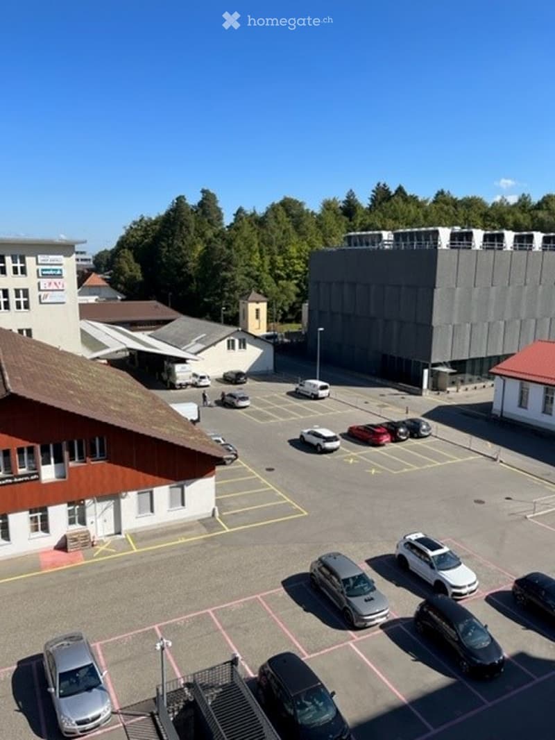 {"type": "Parking area","description": "large parking lot with multiple cars parked, commercial building, other buildings, greenery","visible_features": ["Parking place"],"localized_descriptions":    {    "EN": "Large parking lot with multiple cars p