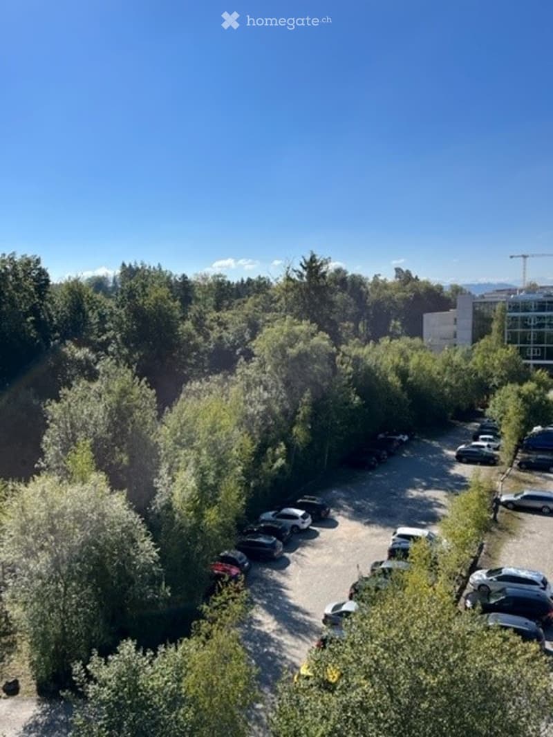 {"visible_features": ["Parking place"],    "type": "Aerial view",    "description": "Parking area with many cars parked",    "localized_descriptions":        {        "EN": "Aerial view of a parking area with many cars parked",        "DE": "Luftauf