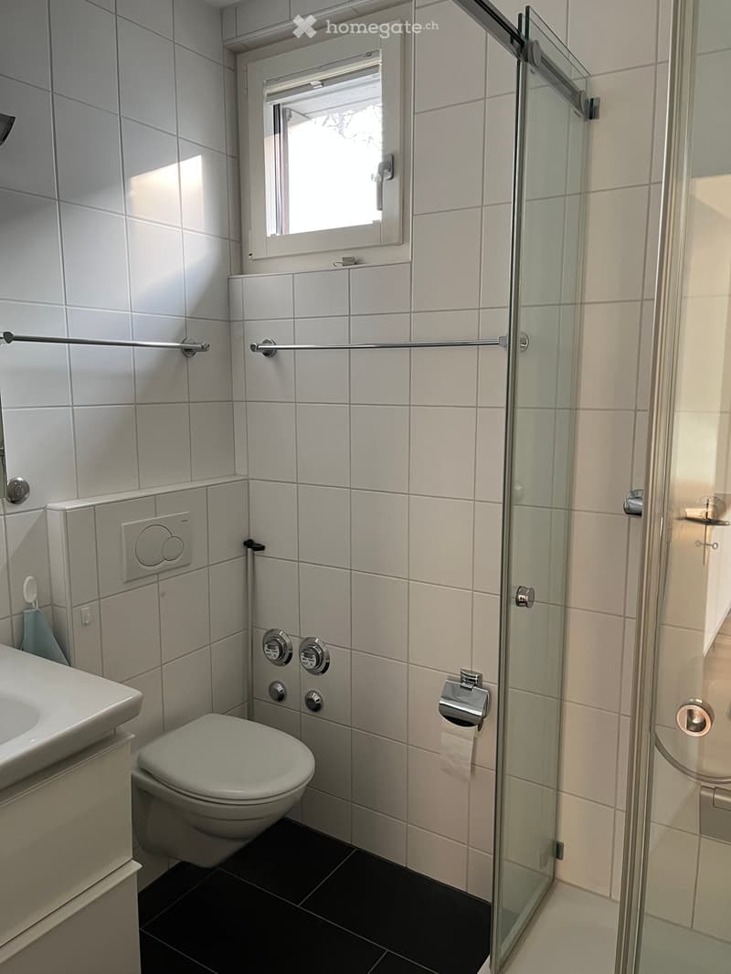 white tiles, walk-in shower, toilet, sink, white countertop, window