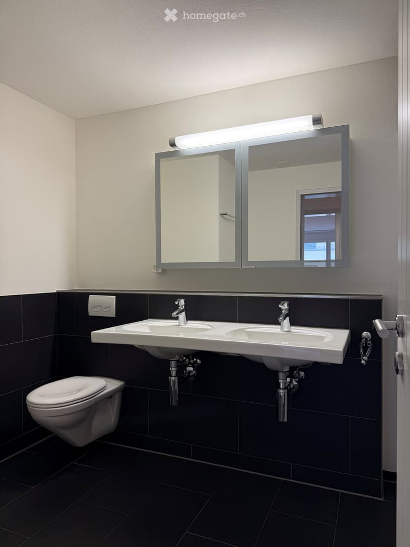 Bathroom. Modern bathroom with double sink, chrome faucets, large mirror, and toilet. Dark tiled walls and floor.