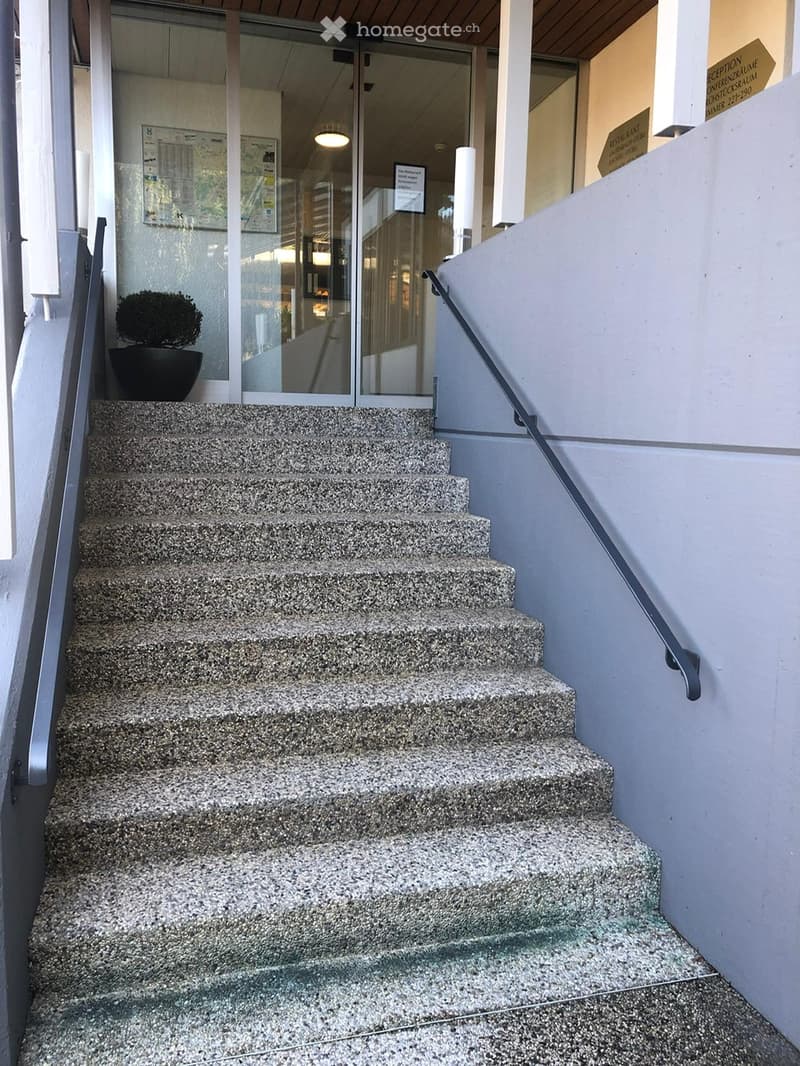 Exterior marble stairs leading to the entrance of the building, modern design, and granite handrails