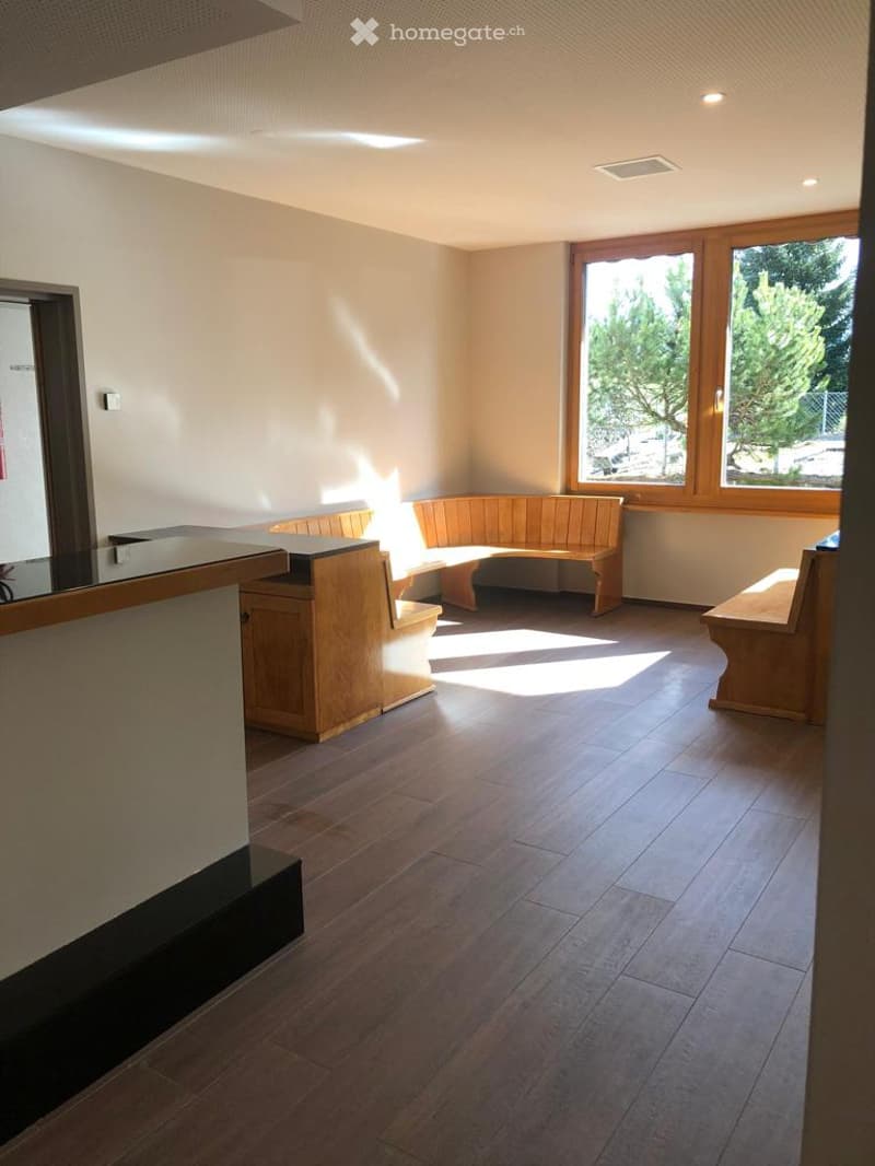 spacious room with wooden benches, wooden flooring, wooden ceiling, windows, trees view
