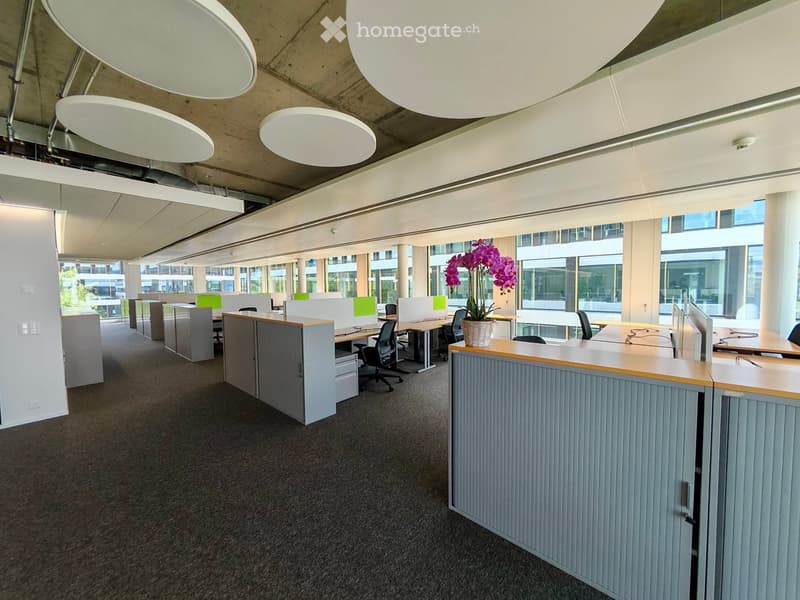 Modern office space with desks, chairs, computer screens, and a flower pot on a reception desk. Large windows provide natural light, and the ceiling features unique circular light fixtures.