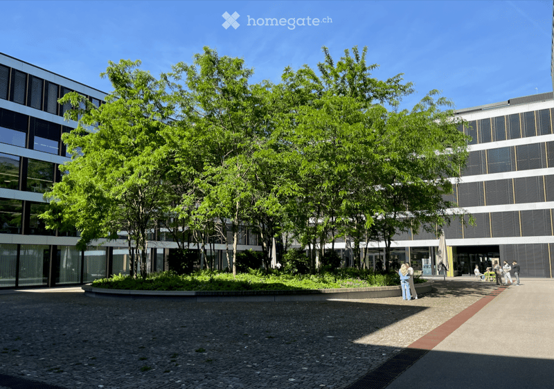 Modern multi-story building with large windows and a landscaped courtyard featuring trees and shrubs.