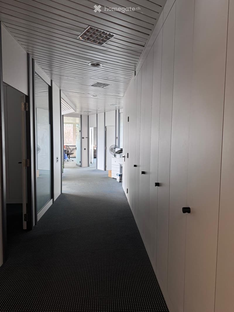 {"visible_features": [],    "type": "Room",    "description": "Empty hallway, black floor, white walls, ceiling fan, glass doors, storage cabinets",    "localized_descriptions":        {        "EN": "Empty hallway, black floor, white walls, ceiling