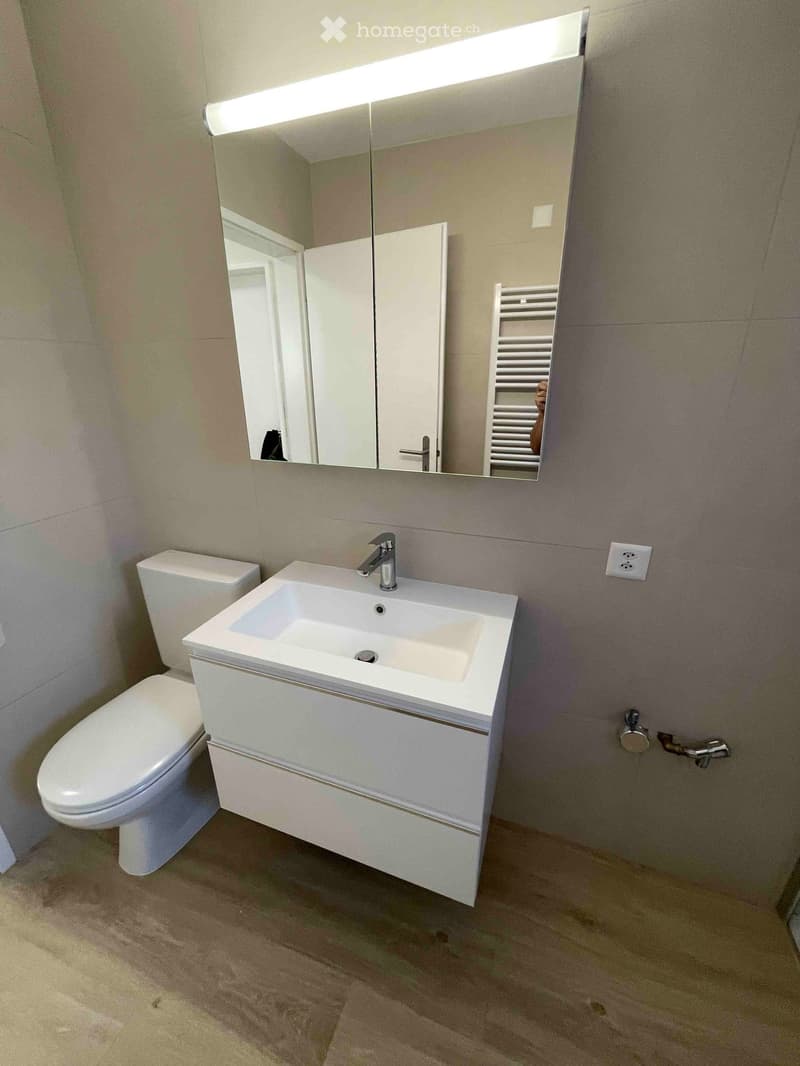 modern bathroom, white sink with silver faucet, white toilet, full height mirror, tiled walls, wooden floor