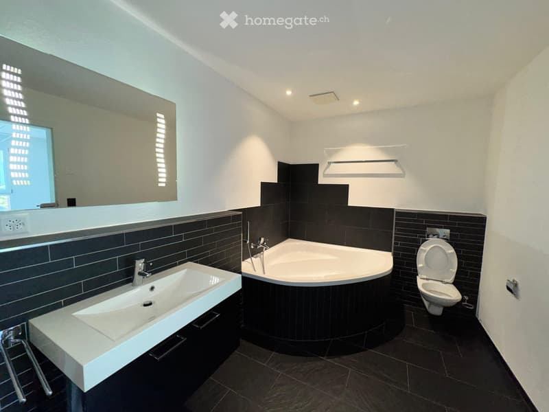 Modern bathroom with dark tiled walls, a white sink, a curved bathtub, and a toilet. Features a large mirror and built-in shelves.