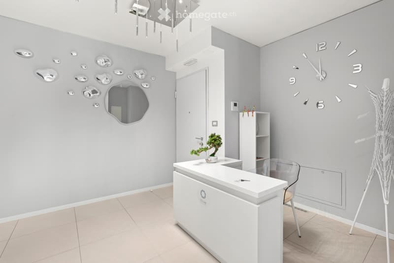 small room, desk, plant, clock, chair, shelves