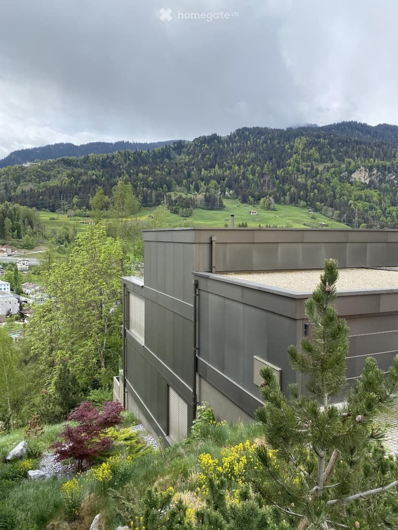 Modern house, gray exterior, windows, sloping roof, surrounded by greenery, valley view