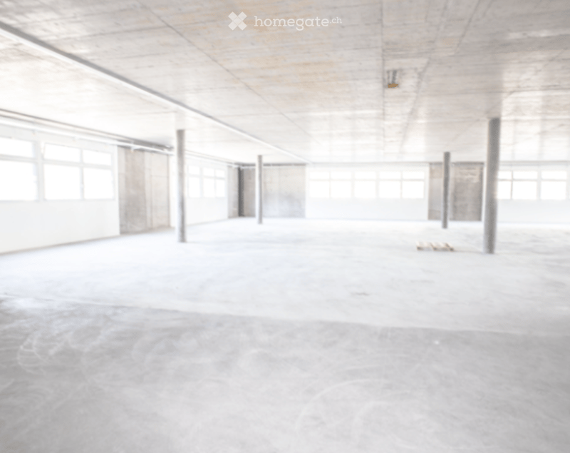 Gewerbe / Industrie / Showroom / Lager in Mels (6)