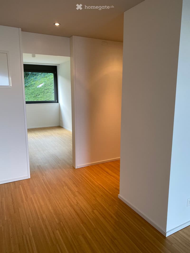 empty room, wooden floor, white walls, window with outside view, recessed lighting