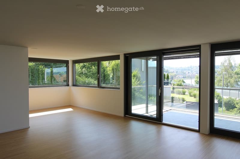 large windows, balcony, wooden floor, white walls