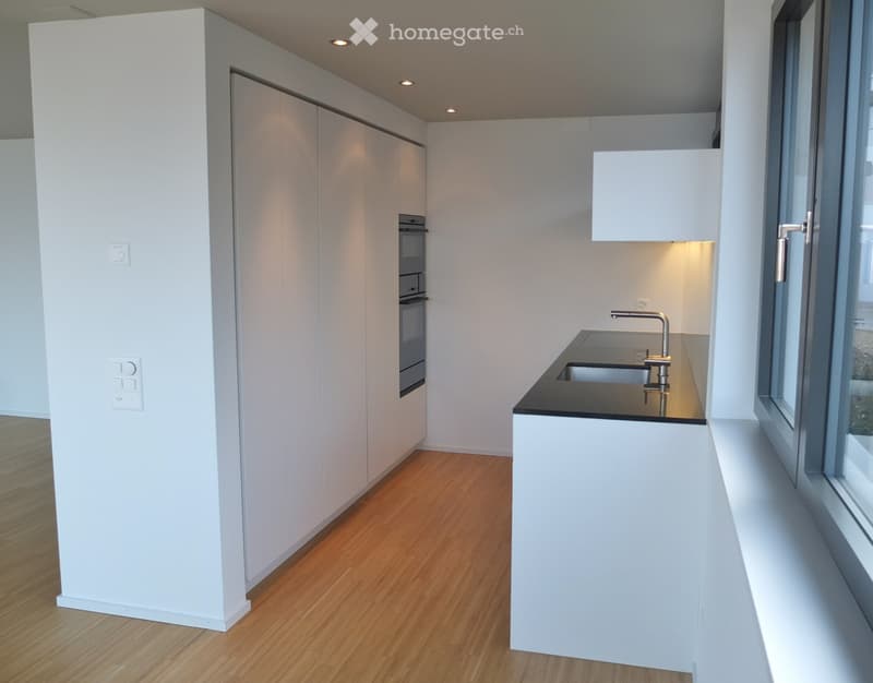 Minimalist modern kitchen with built-in appliances, sleek countertops, and stylish lighting