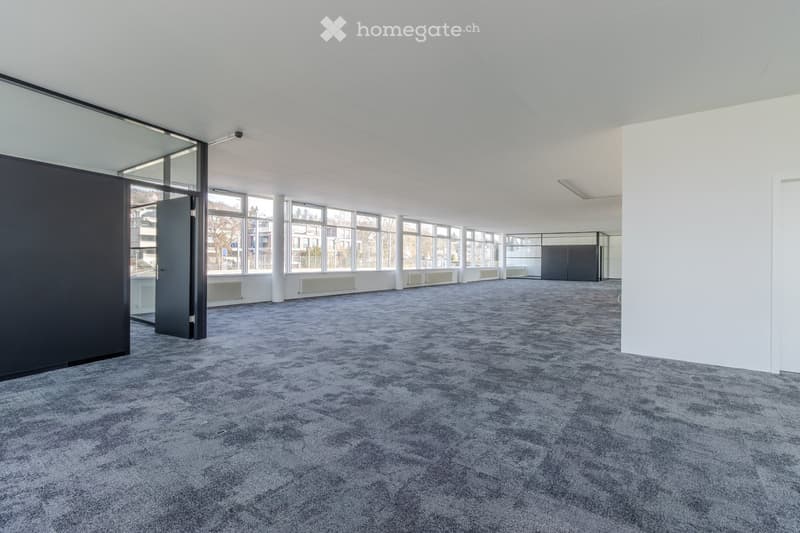 empty room, gray carpet, glass walls, white walls, large windows, radiators